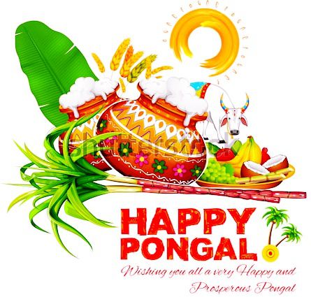 Happy Pongal