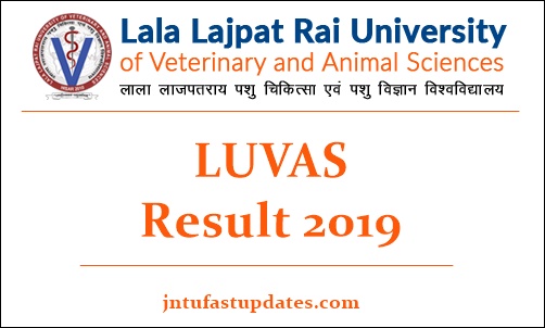 LUVAS Result 2019