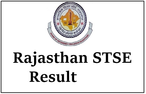 stse result 2021